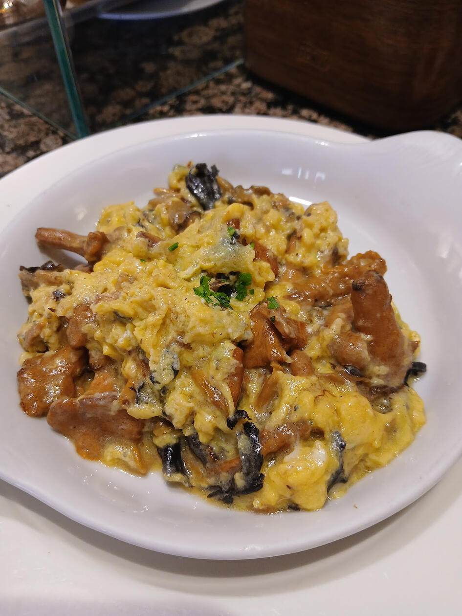 Scrambled eggs and mushrooms of Navarra