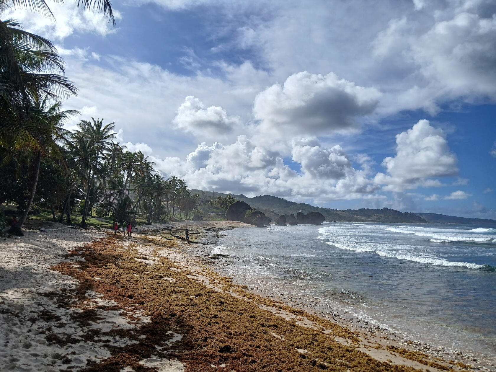 Bethsheba Beach (East Barbados)