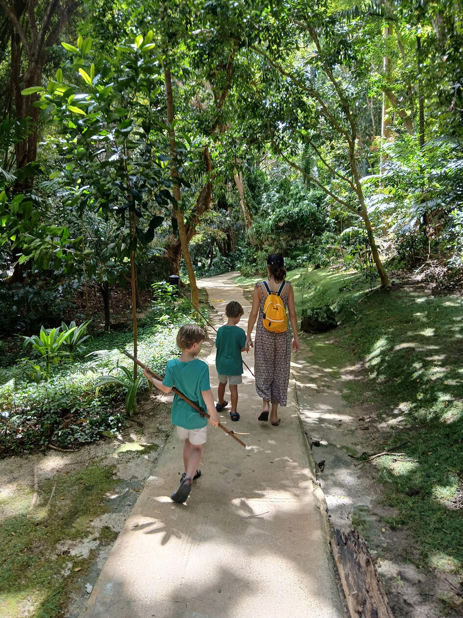 Jungle at Welchman&#39;s Gulch