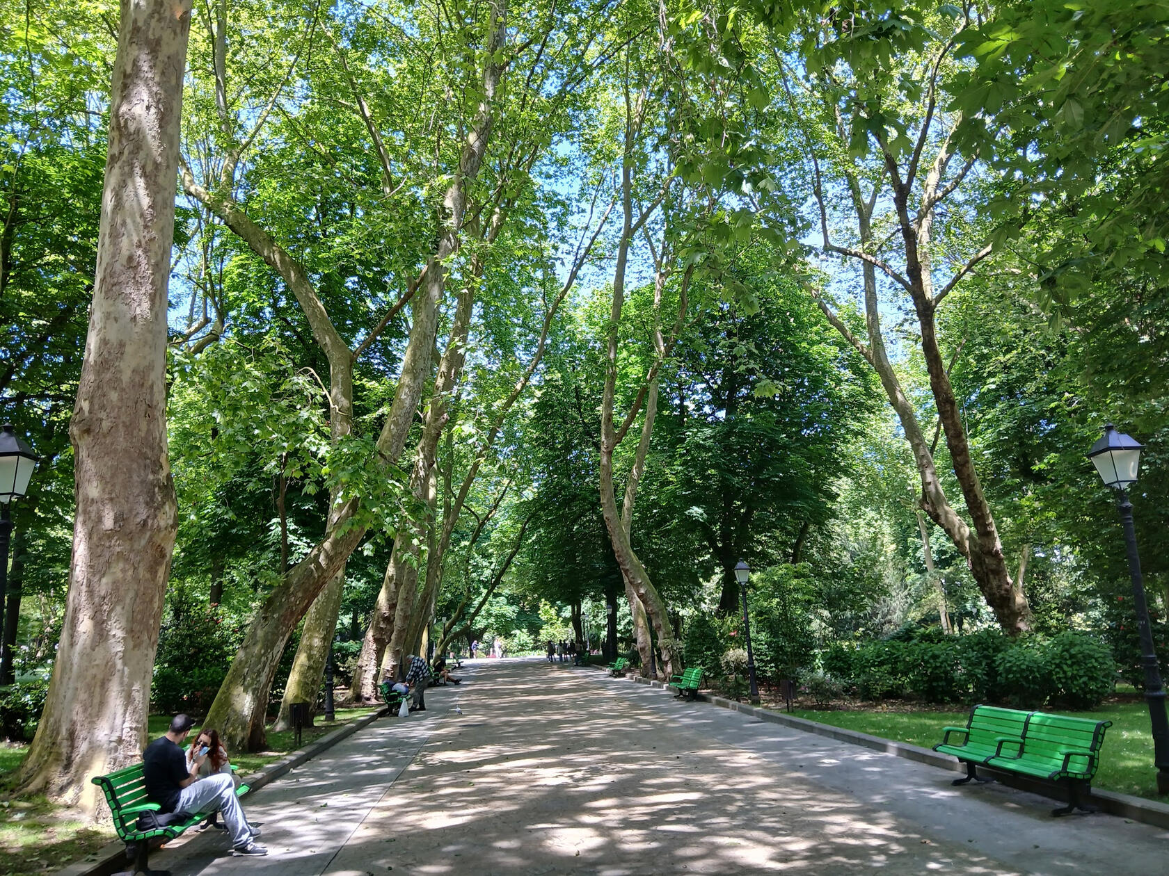 Campo de San Franciso, Oviedo