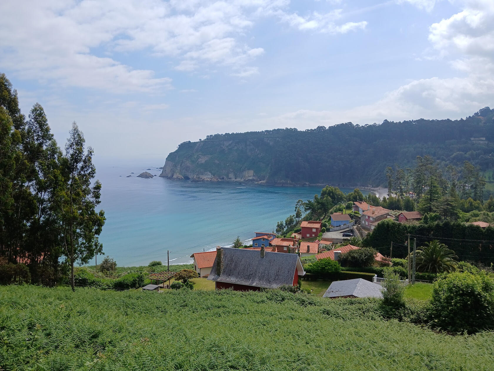 Pedreru de la Concha de Artedo, Cudillero